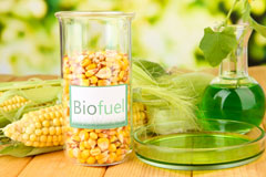 Wrose biofuel availability
