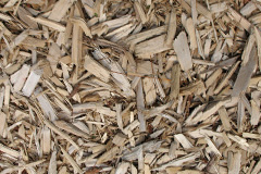 biomass boilers Wrose